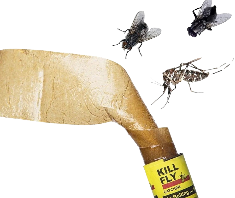 A close-up of a tan adhesive fly trap strip being applied to the open end of a yellow tube labeled 'KILL FLY CATCHER'. Three insects, including a fly and a mosquito, are shown flying around the product on a plain white background.